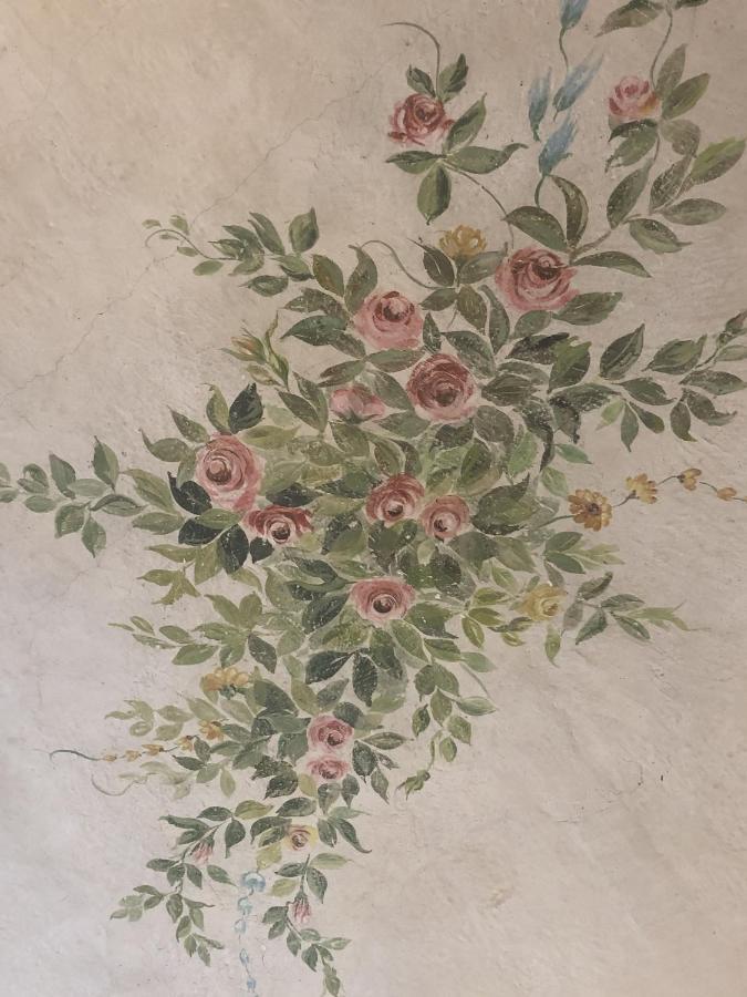 巴贝里诺·迪·穆杰罗Little Liberty Loft公寓 外观 照片